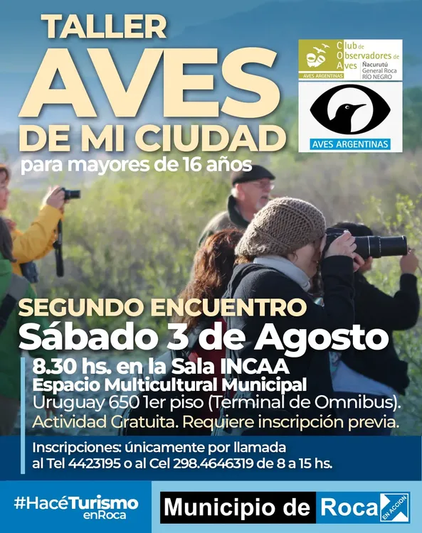 TALLER AVES DE MI CIUDAD