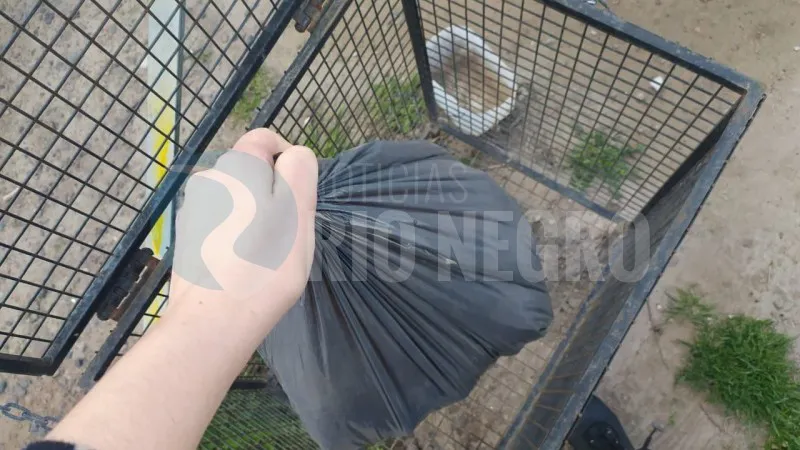 cestos domiciliarios