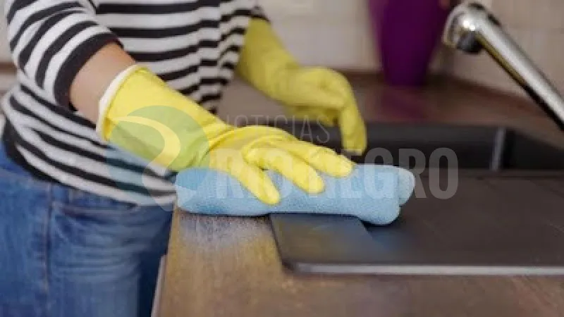 DOMESTICA