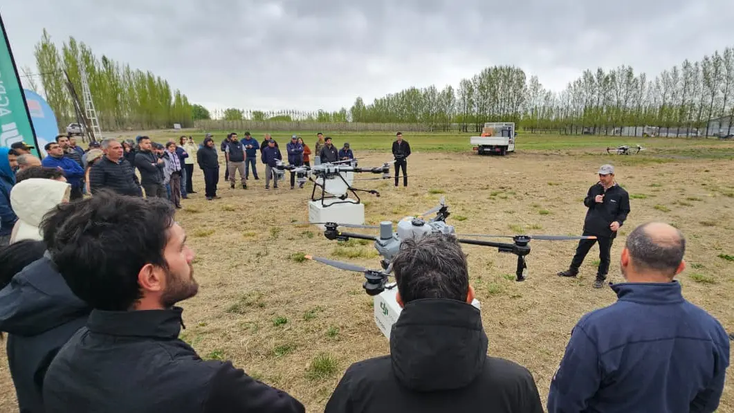 DRONES