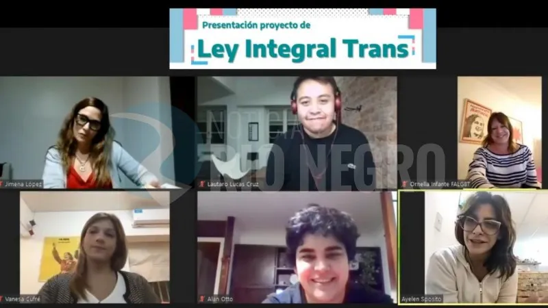 ley integral trans