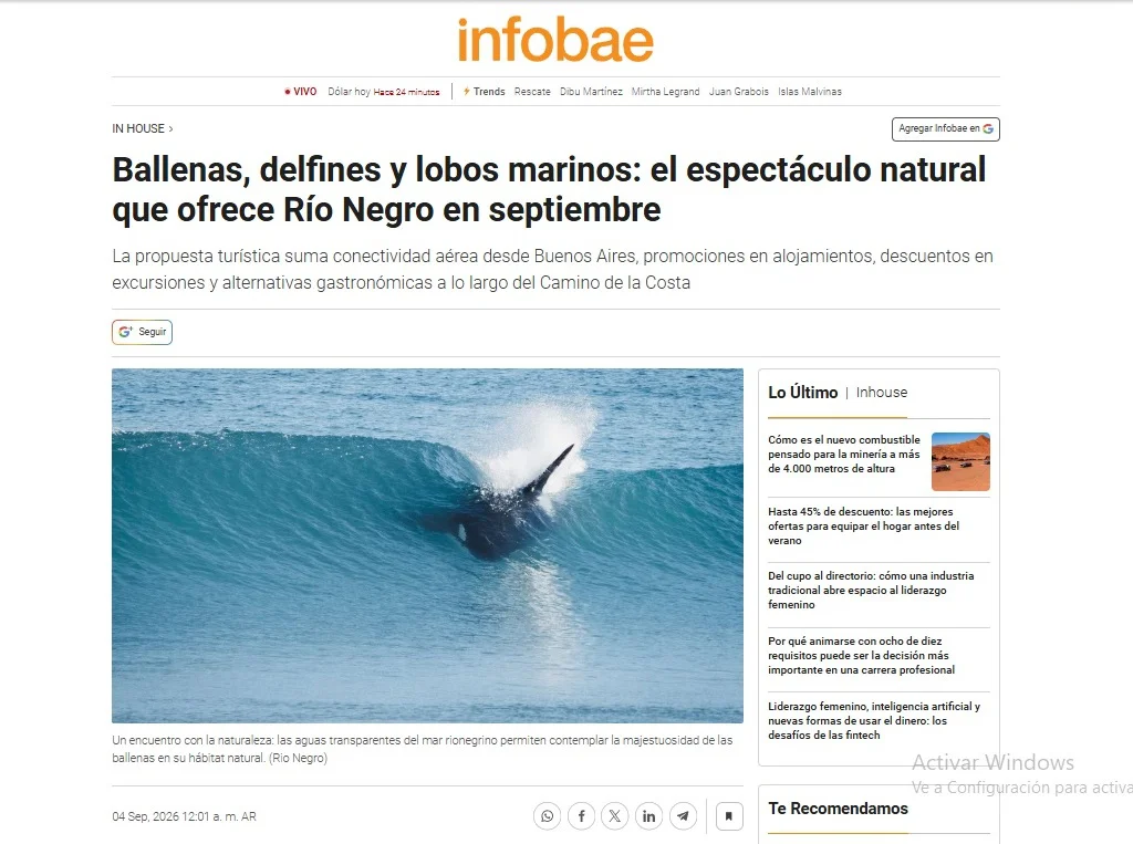 Sin título (1)
