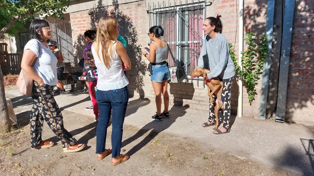 ATENCION PRIMARIA Y CASTRACIONES 2