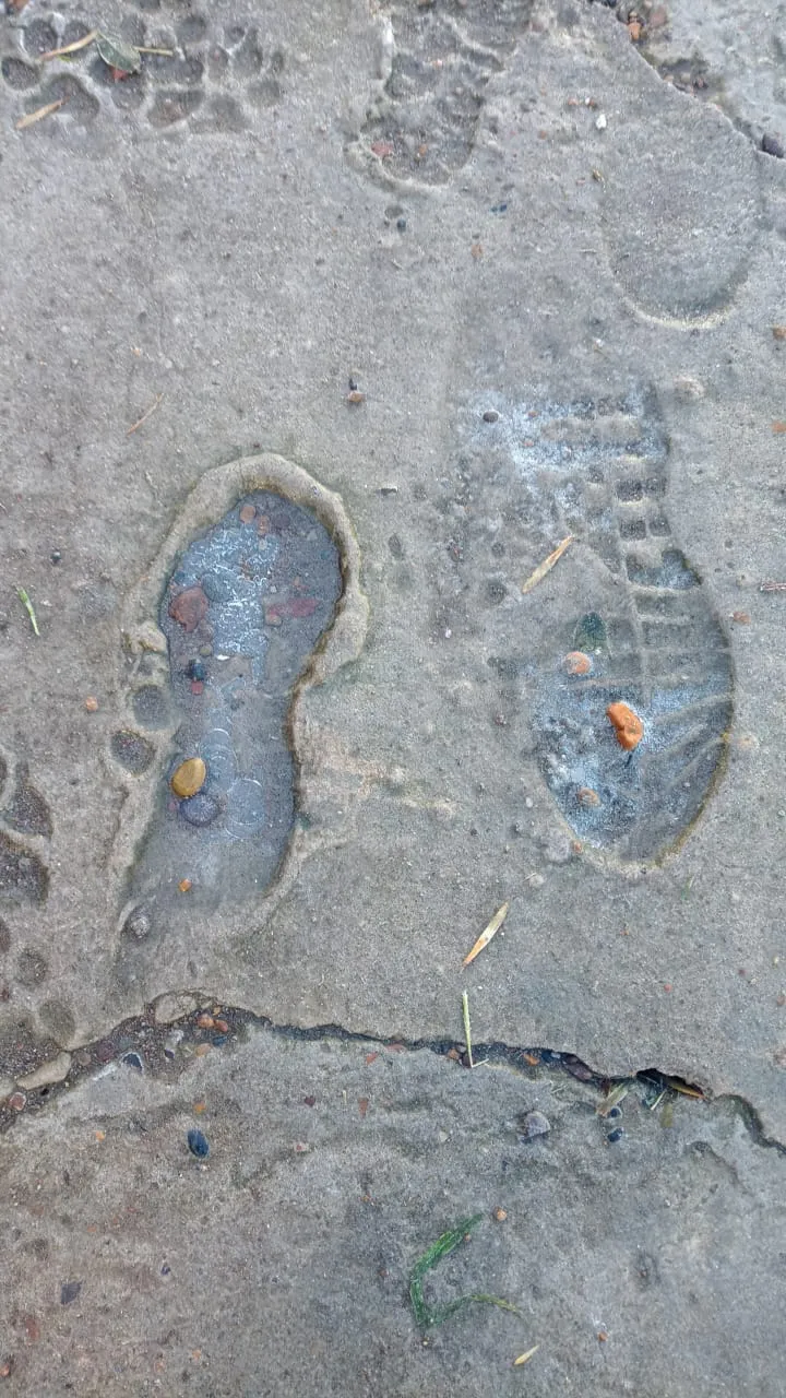 imagen_2025-06-30_114236227