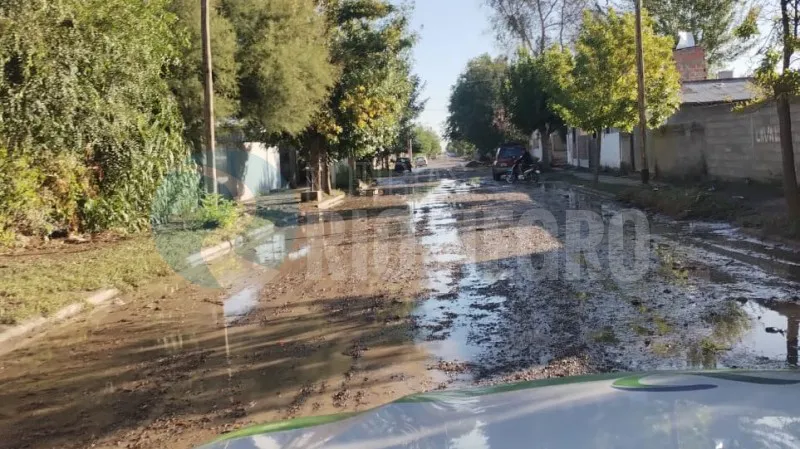 temporal calle BARRO