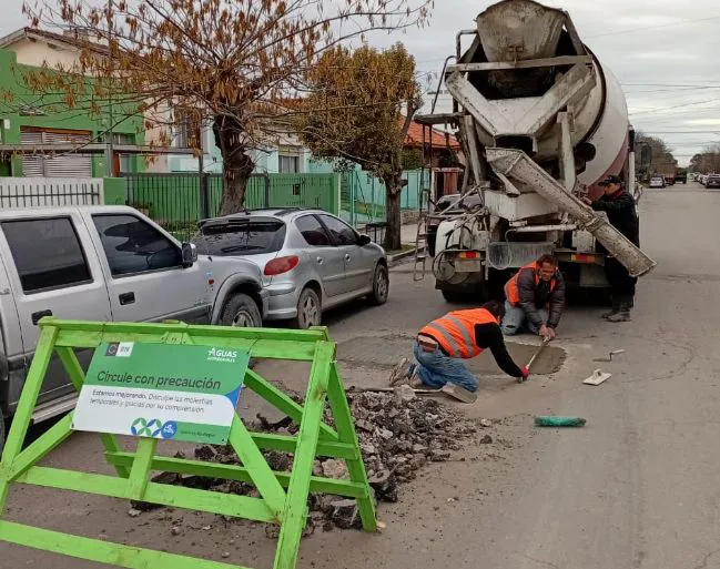 VIEDMA, ARSA, BACHEO