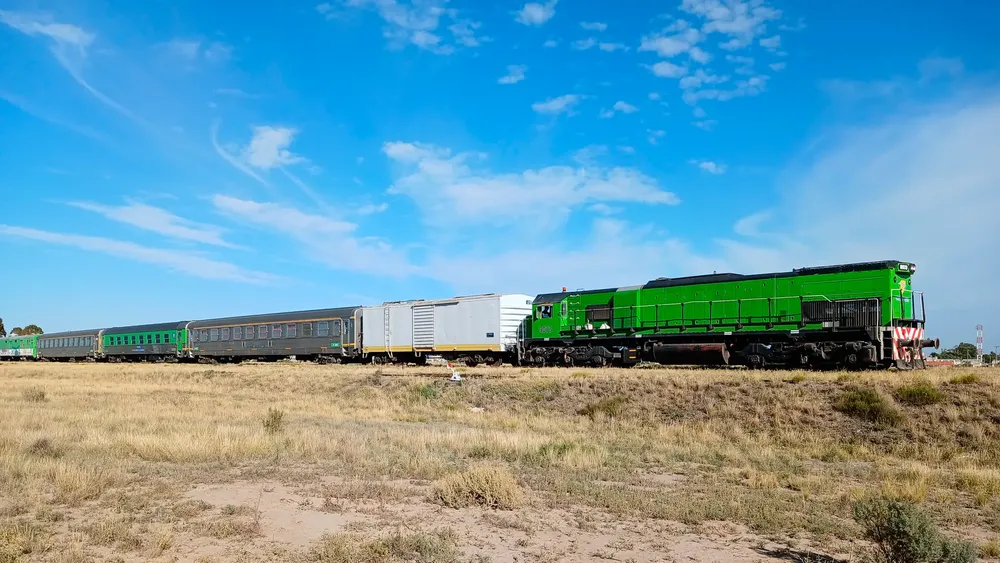 TREN PATAGONICO