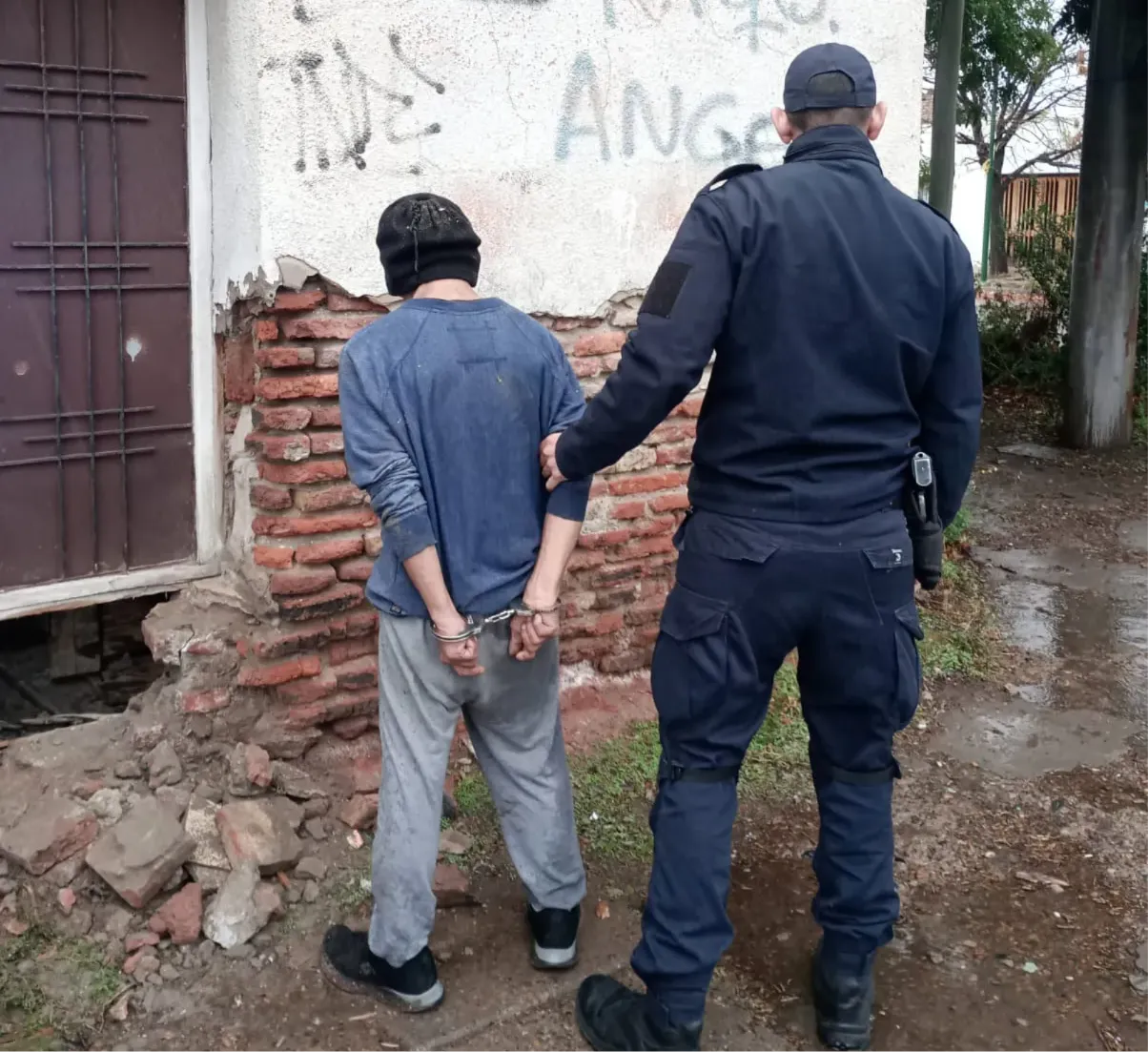 VIEDMA, DETENIDO, USURPACION
