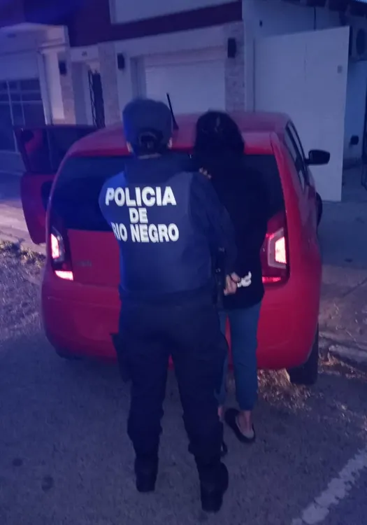 DETENIDA, ROBO, VIEDMA
