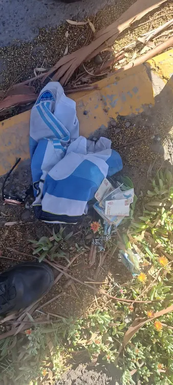 viedma, elementos robados