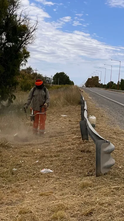 Desmalezamiento manual RN3 II