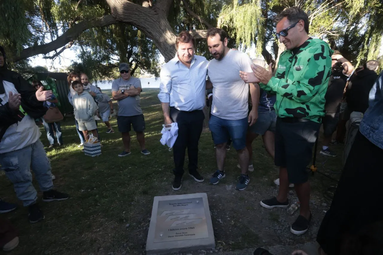 VIEDMA PASEO DE LOS PALISTAS