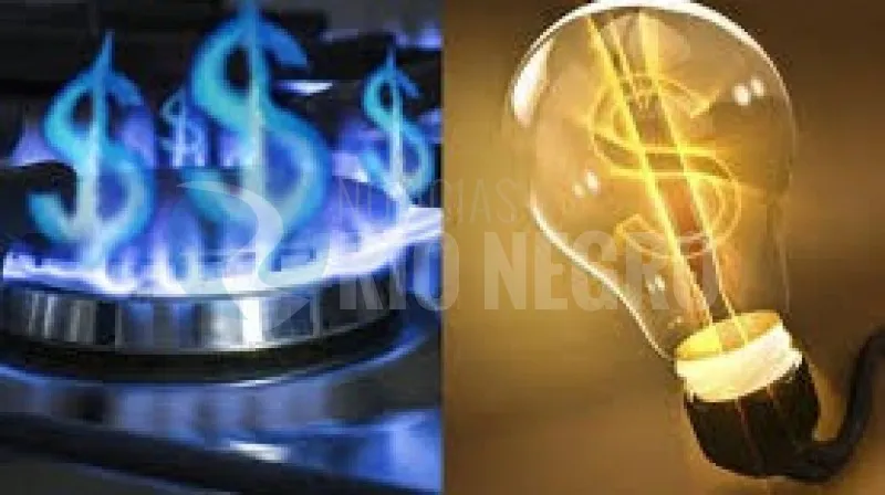 impuestos luz gas