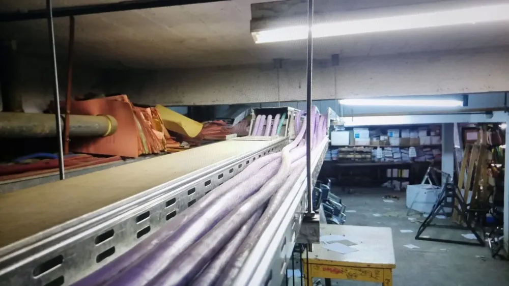 imagen_2025-06-04_114458913