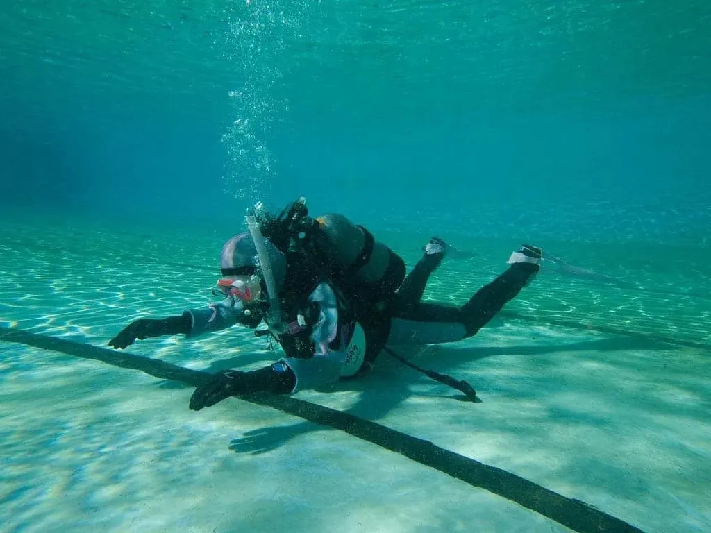 BUCEO