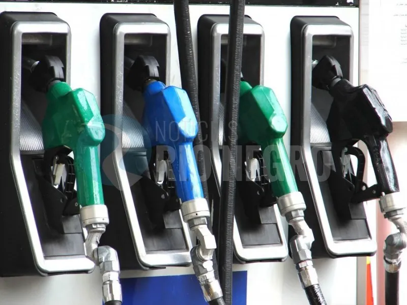 combustible patagónico