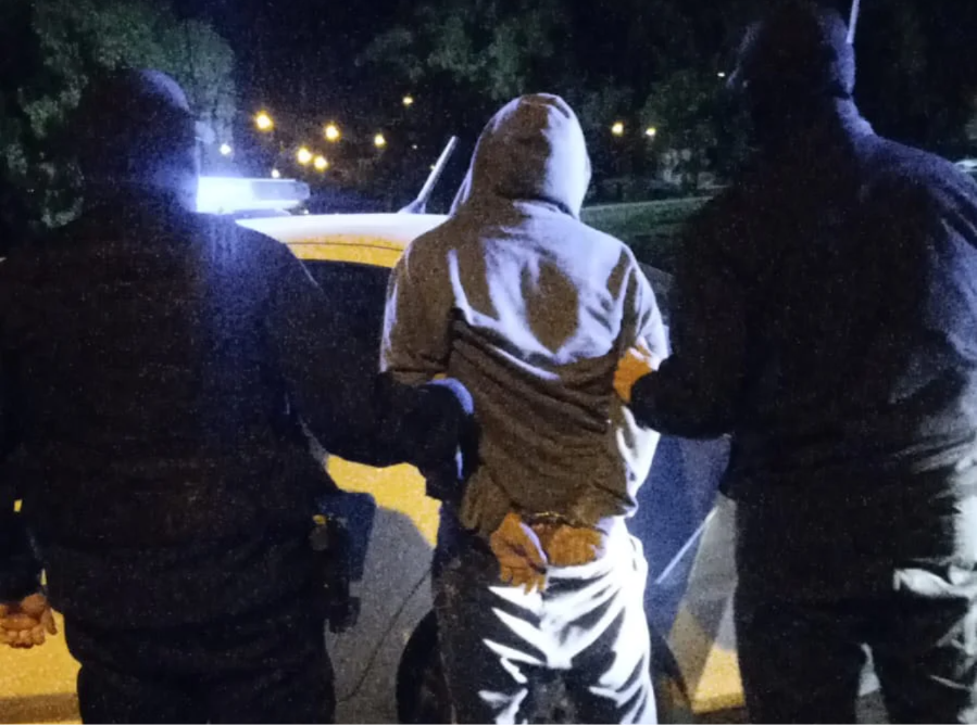 VIEDMA DETENIDO