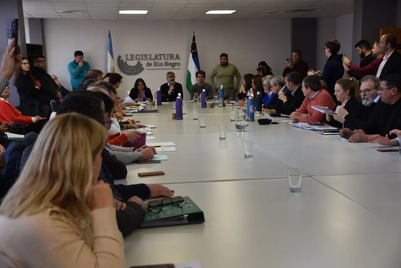 comisión de Planificación, Asuntos Económicos y Turismo de la Legislatura de Río Negro