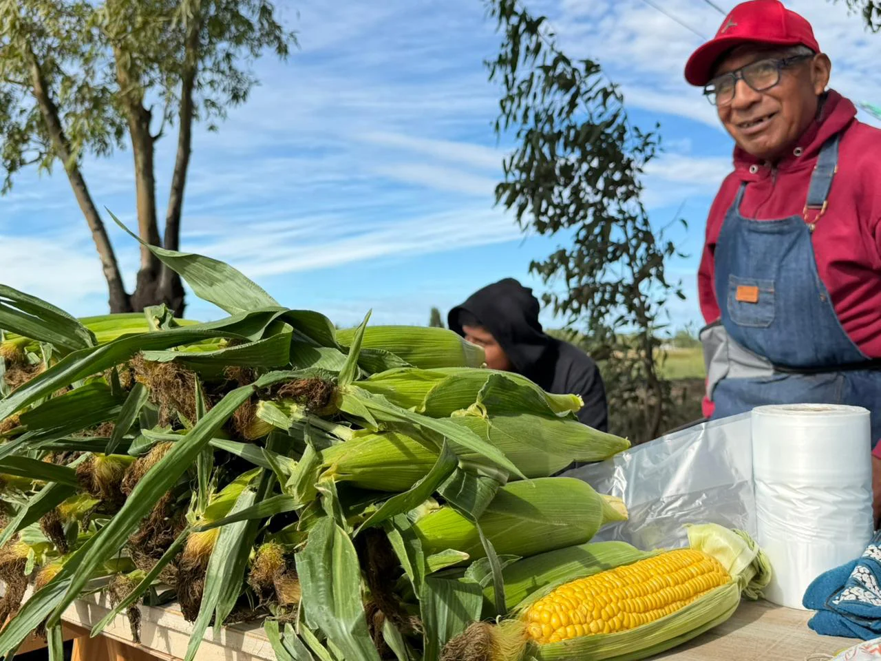 FERIA DE LOS EUCALIPTOS SAN JAVIER