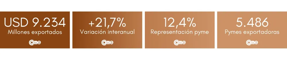 image-20241229022331-1