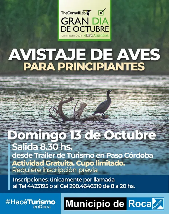 AVISTAJE AVES