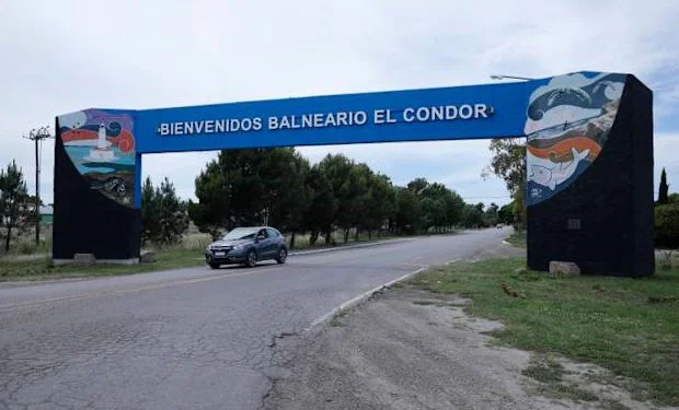 condor