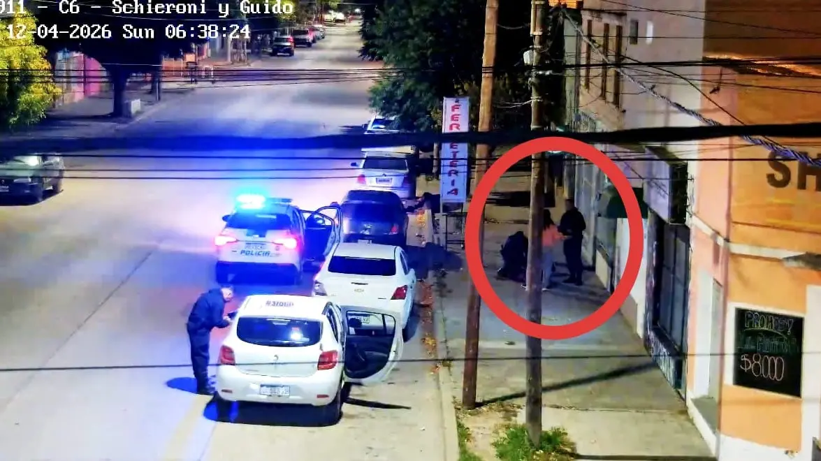 VIEDMA ROBO CAMARAS DE SEGURIDAD 911