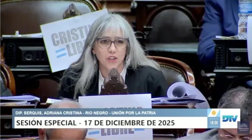 ADRIANA SERQUIS DIPUTADOS
