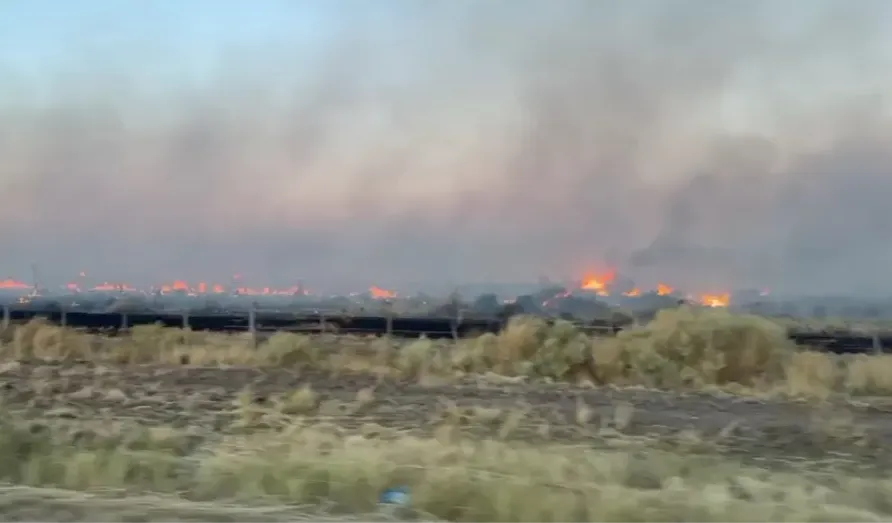 INCENCIO CAMPOS RUTA 1