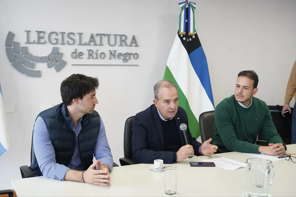 BORIS KUCICH PEDRO PESATTI HERNAN BOCCI