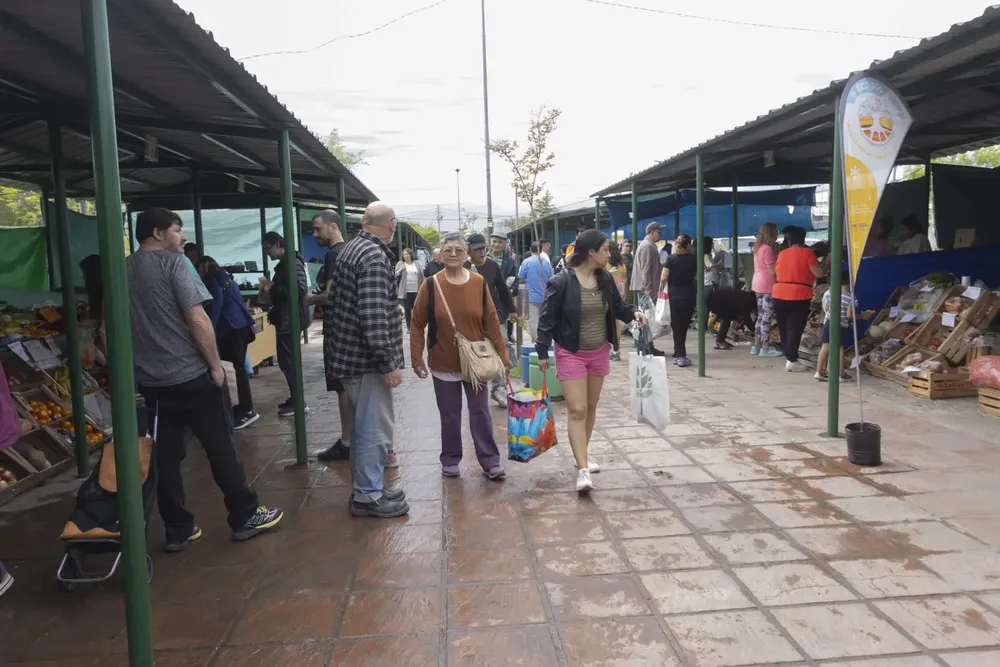 FERIA MUNICIPAL VIEDMA