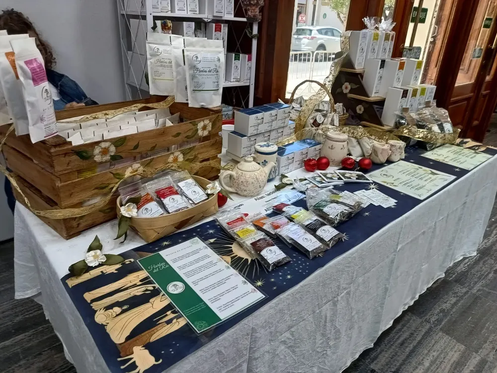 EXPO NAVIDAD LEGISLATURA