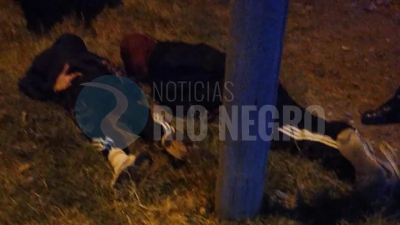 detenidos