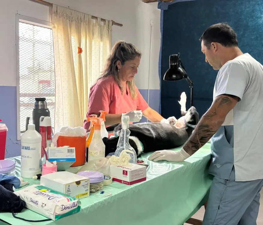 VIEDMA, CASTRACIONES