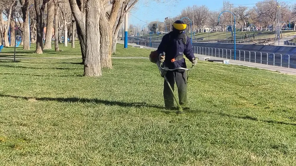 SERVICIOS PUBLICOS