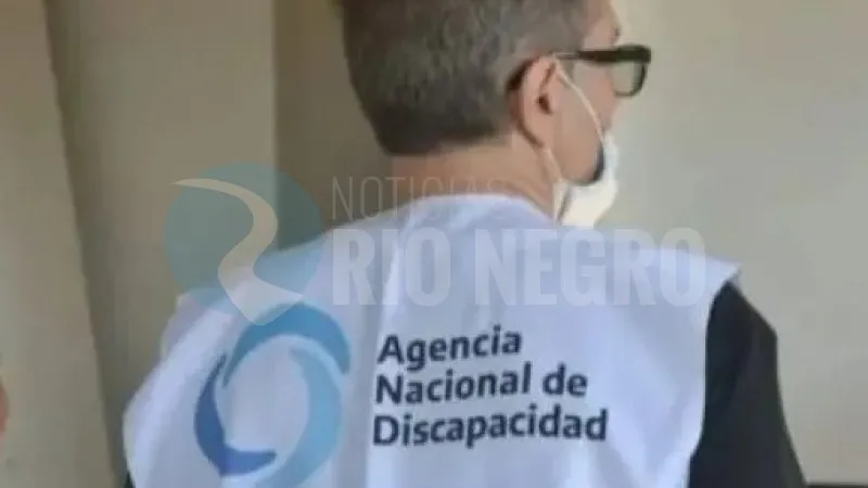 agencia nacional de discapacidad