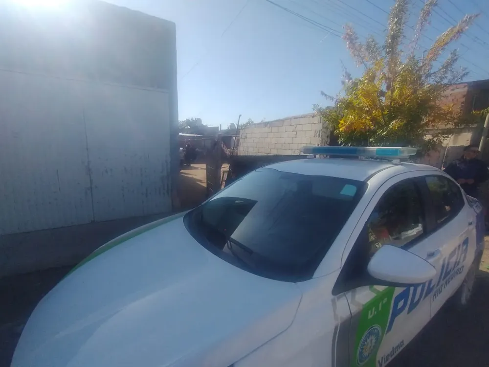 ALLANAMIENTO, VIEDMA