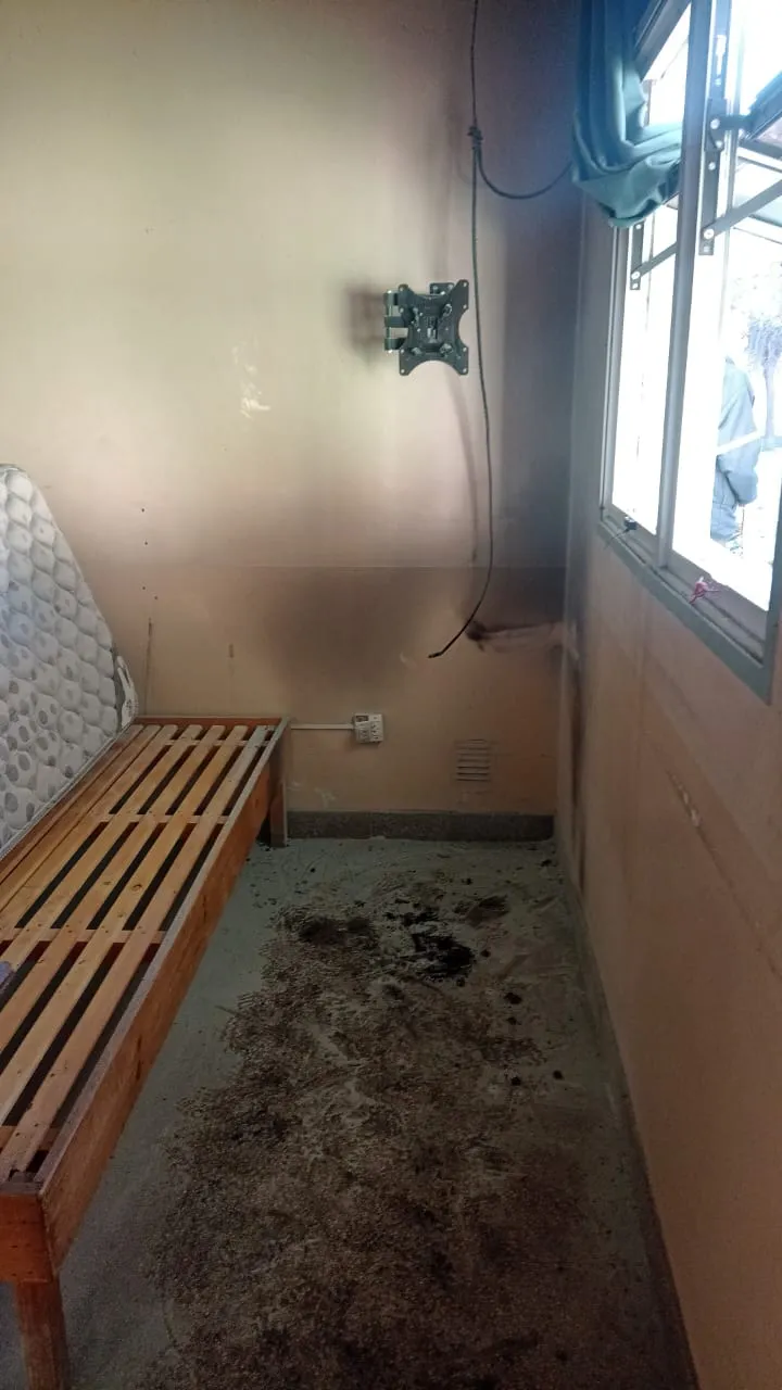 imagen_2025-06-05_101203847