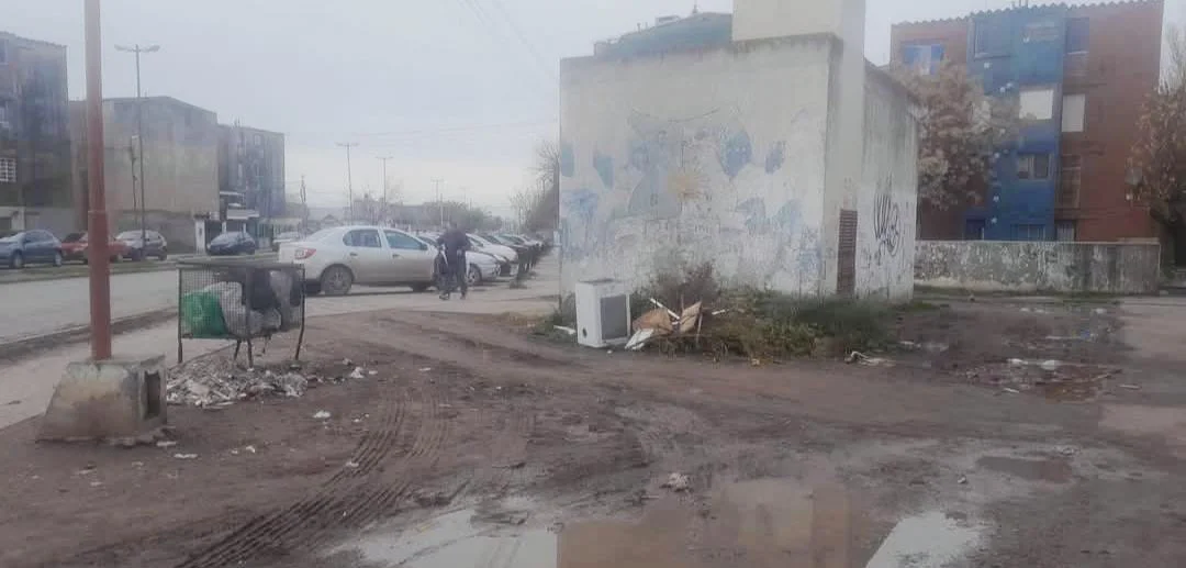 915 VIVIENDAS BASURA