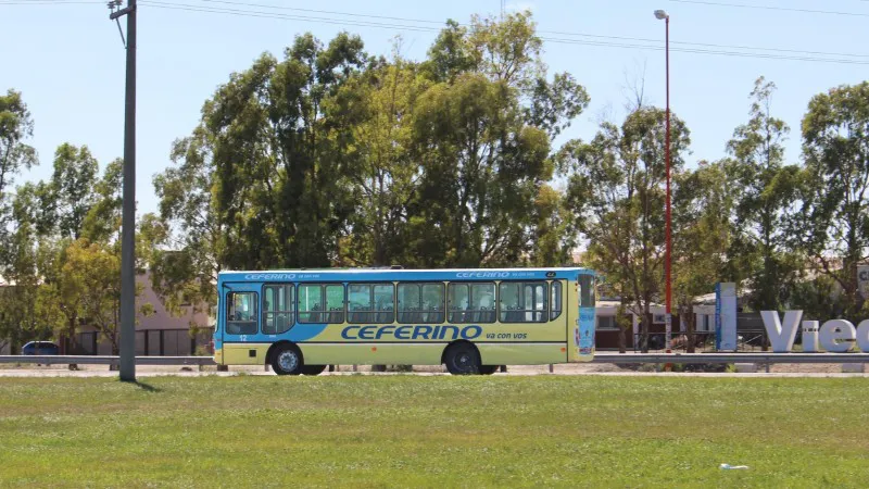 colectivo ceferino COLECTIVO