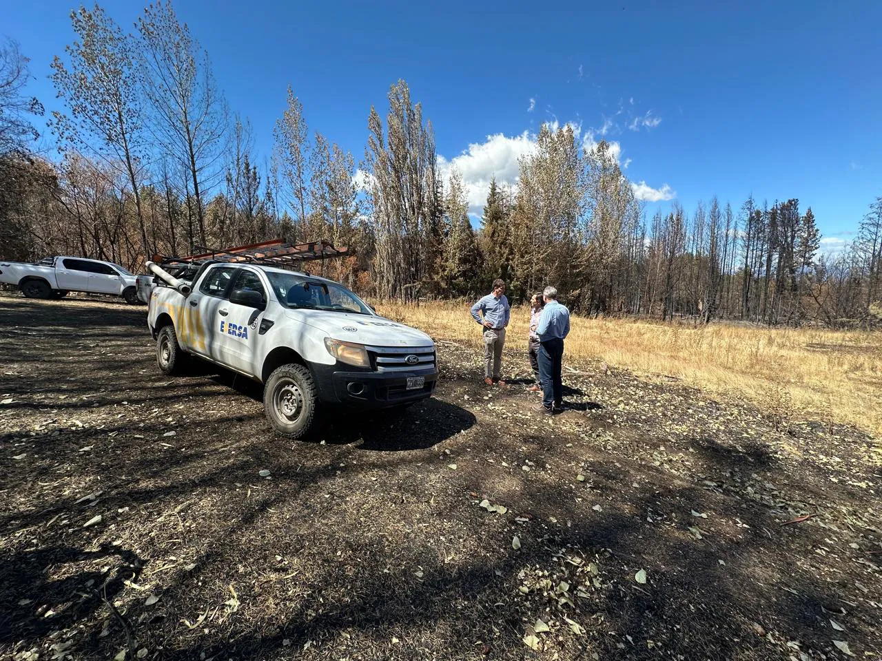 11c8e52a-efa3-4efe-a75d-a1f63bedf5fd