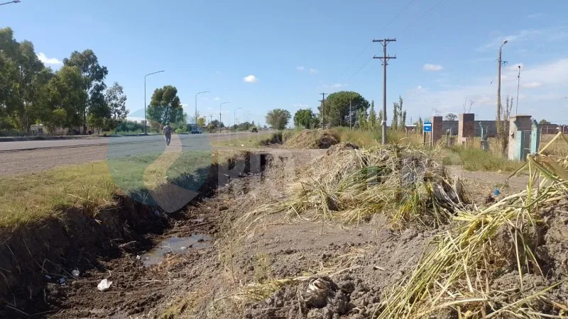 viedma canales limpieza