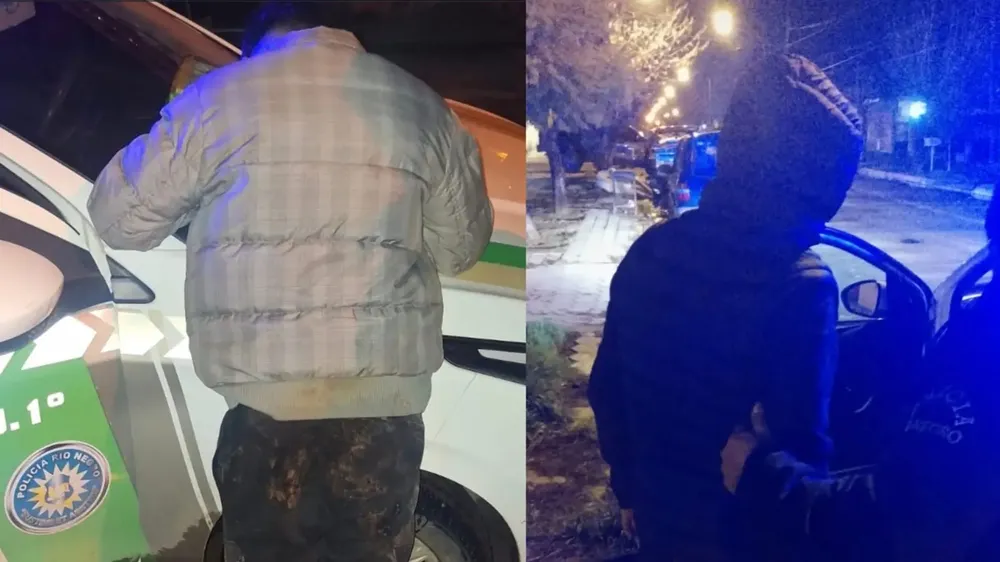 VIEDMA DETENIDOS