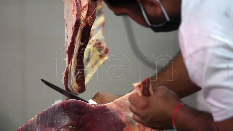 carne CARNICERO