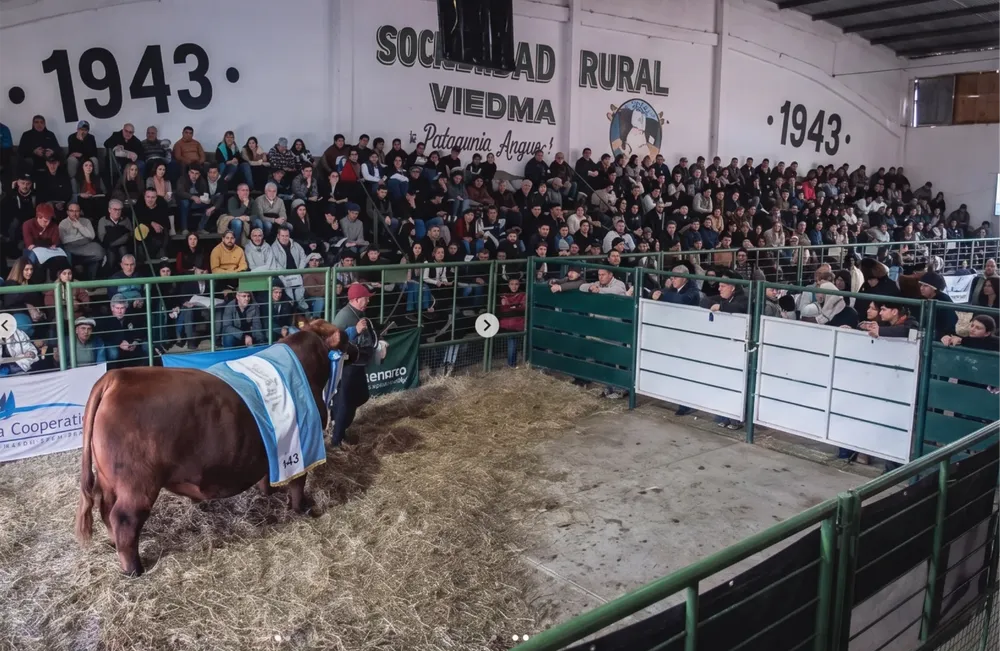 EXPOSICION RURAL