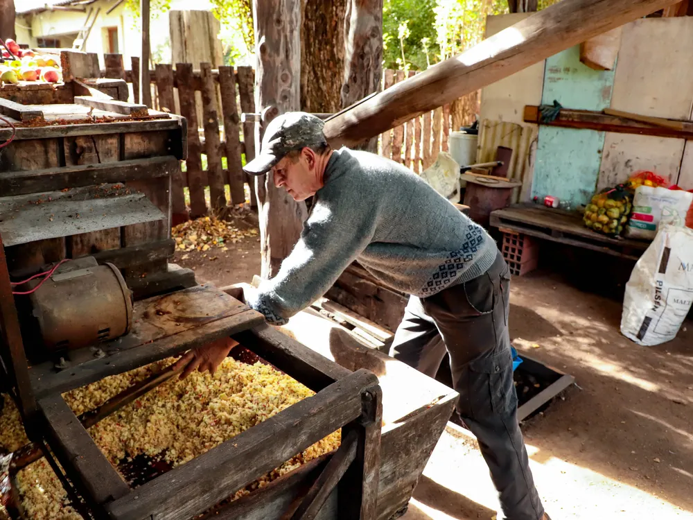 Chicha artesanal de manzana en El Bolsón