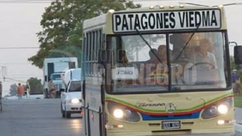 viedma PATAGONES COLECTIVO empresa ceferino
