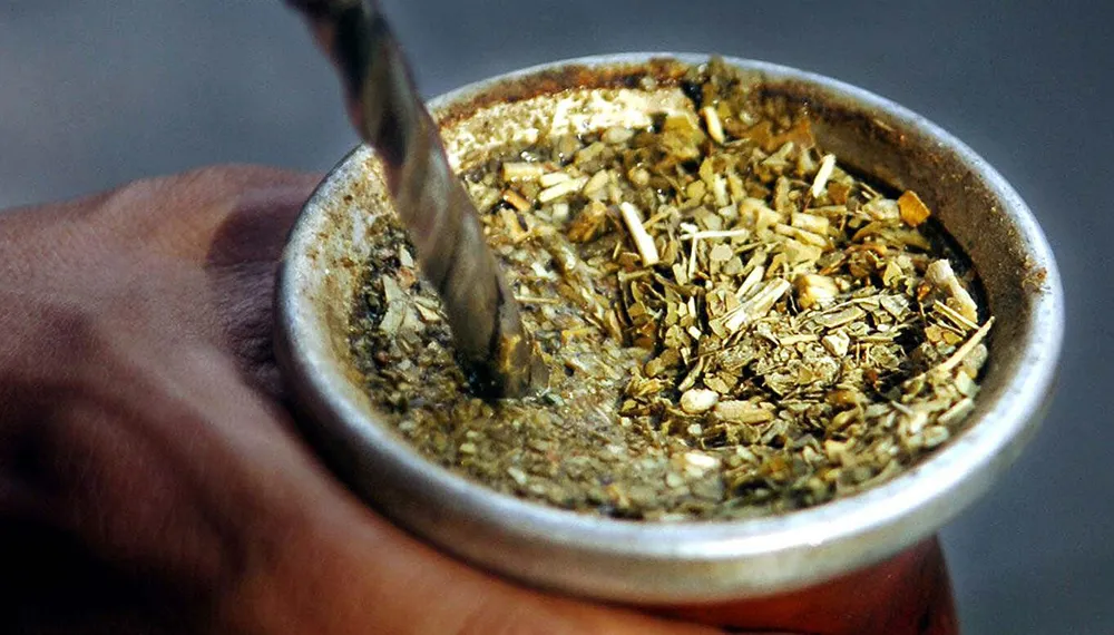 mate-porta