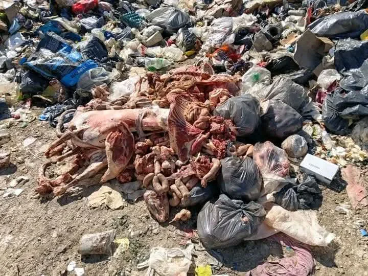 VIEDMA CARNE DECOMISO
