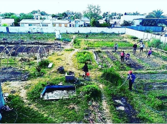 HUERTA COMUNITARIA DEL BARRIO FÁTIMA DE VIEDMA